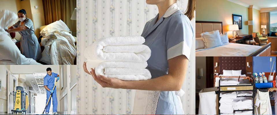 Pro Cleaning Ibiza horeca cleaning services Ibiza